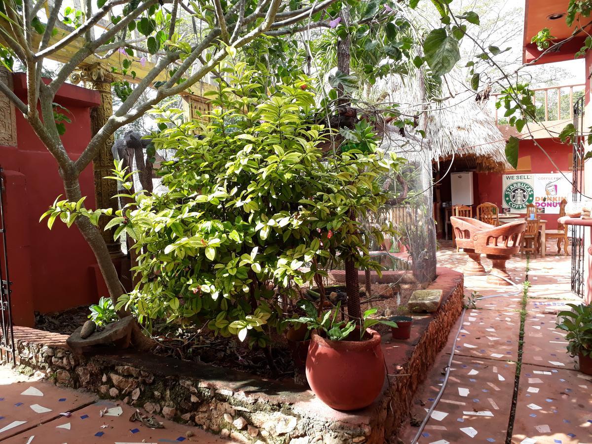 El Chac Mool Bed and Breakfast Santa Elena Zewnętrze zdjęcie