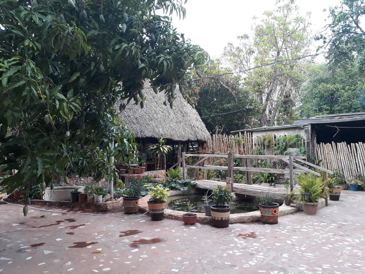 El Chac Mool Bed and Breakfast Santa Elena Zewnętrze zdjęcie