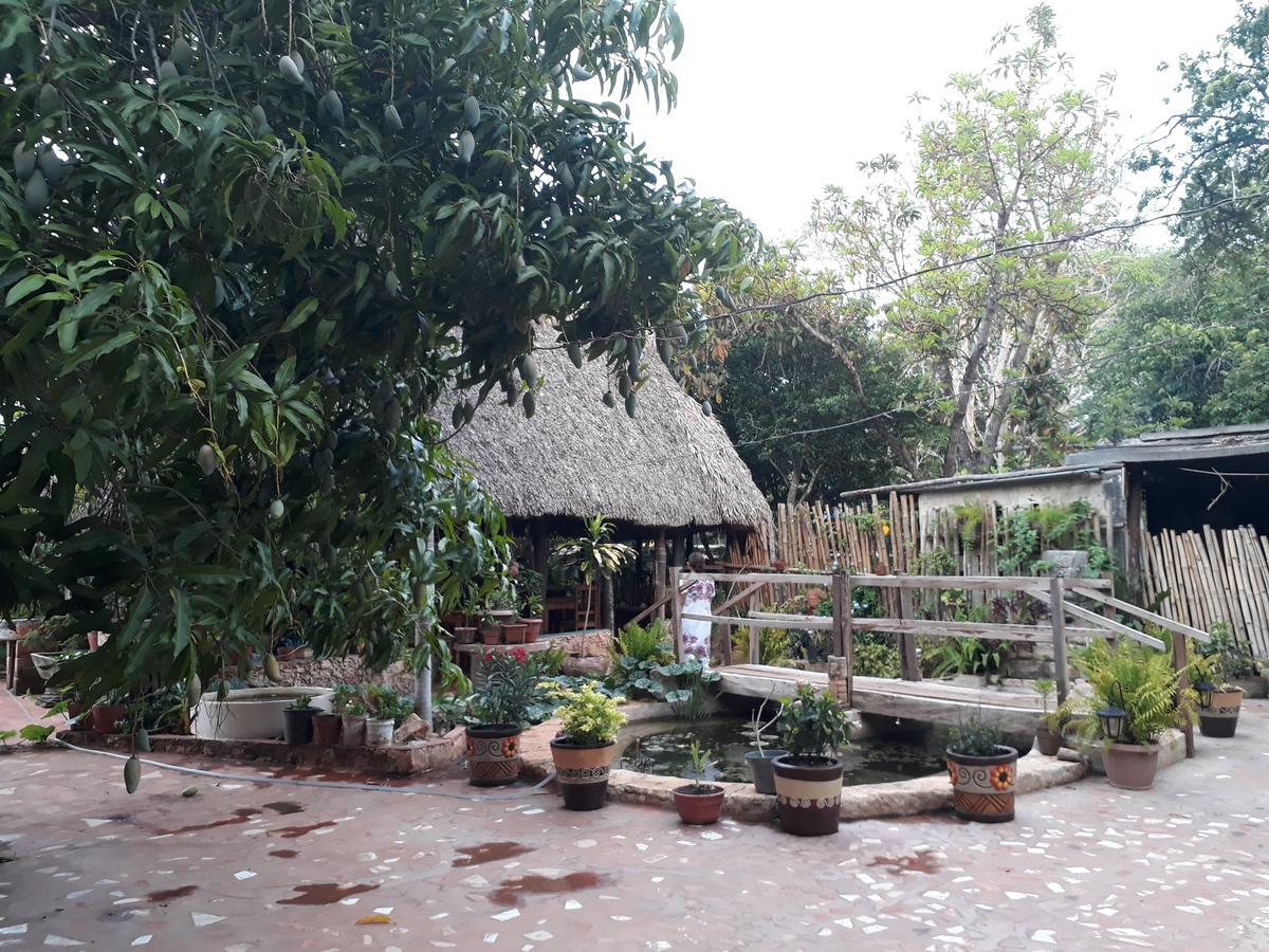 El Chac Mool Bed and Breakfast Santa Elena Zewnętrze zdjęcie